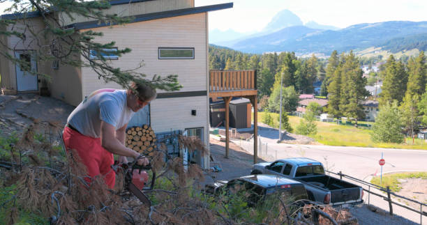 Agricultural Equipment