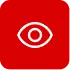 Vision Icon