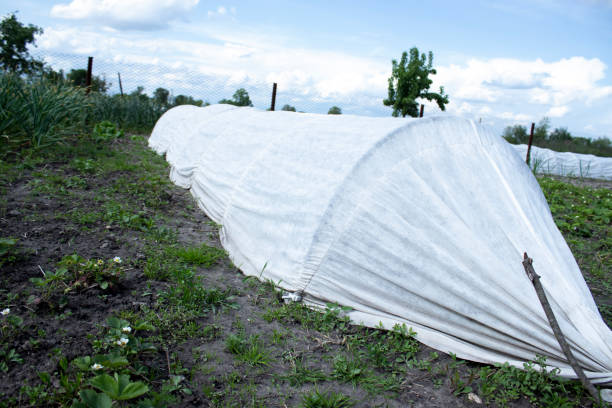 Long-lasting Tarpaulins